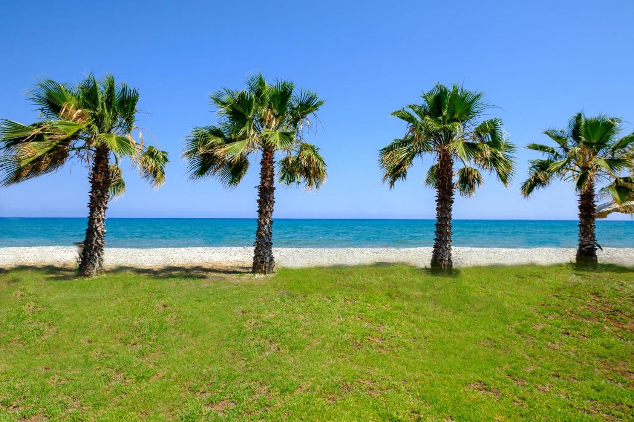 Oceanview Apartment ラルナカ エクステリア 写真
